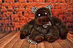 fool-1972263_960_720